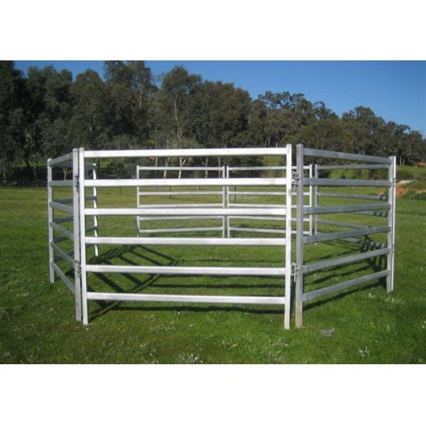Buy 6 Rails 3m Tall Heavy Duty Cattle Panel Free Standing at wholesale prices