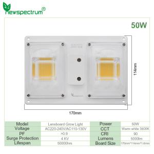 Waterproof Cob Led Chip Moisture Electric Shockproof Led Module 4000k