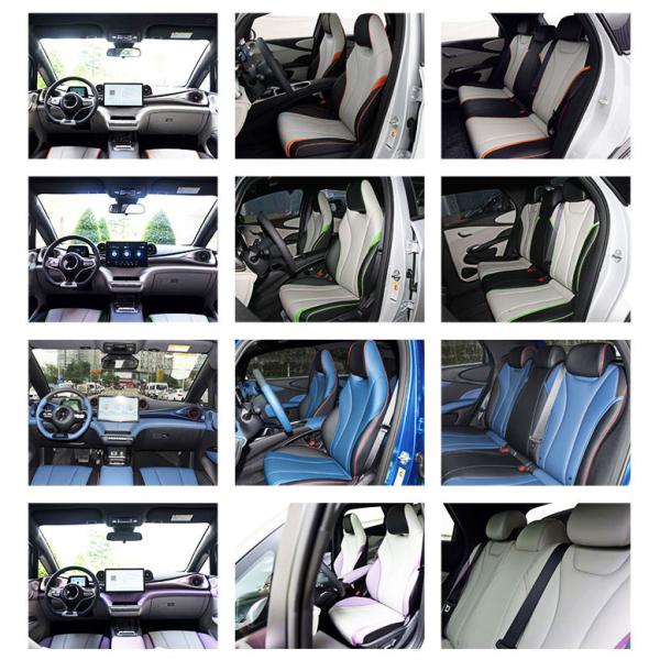 Byd Dolphin 2021 301km Vitality Edition EV Left Steering Fast Charging Time 0.5 Hour