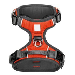 China Lightweight Breathable Design Nylon Dog Harness on sale