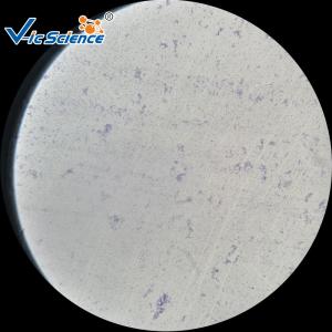 Buy cheap Customized Teaching Histology Glass Slides Set 93pcs VIC07 Odm Service from wholesalers