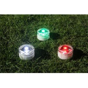 IP67 Waterproof Aluminum Solar Dock Light with Bule/Cold White Lighting and -20C