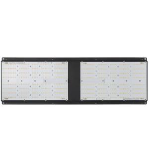 2x4 SAMSUNG LM301H Quantum Board