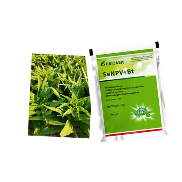 Buy Vegetable Protection Environmentally Friendly Safe Insecticide for Safeguarding Crops at wholesale prices