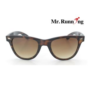 gorgeous splendid lady leisure sunglasses MG018
