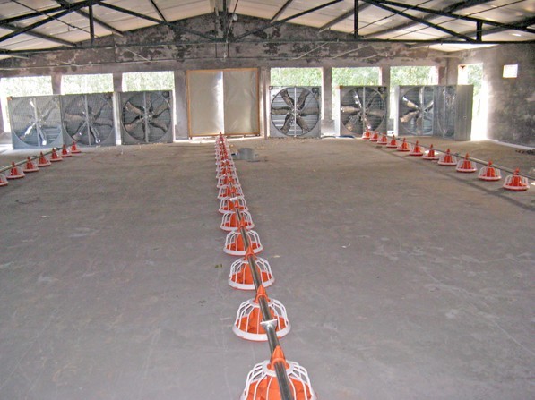 Buy Alminco Grain Silo Cooling Storage System, Chain Conveyor  at wholesale prices