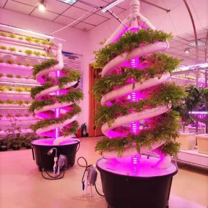 China Double Helix Hydroponic Indoor Garden Vertical Hydroponics Growing System on sale