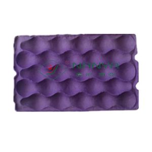 Recycle Paper Fruit Tray Strawberry Tray Egg Tray Making Machine