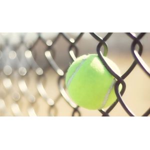 10 Guage Chain Link Wire Mesh Fence Galvanized Diamond Security Fencing