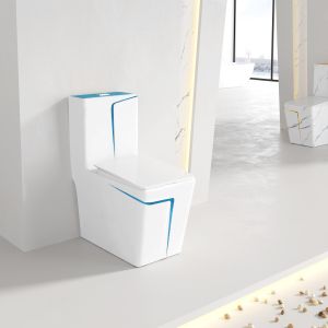 Square WC Siphonic Flush Sanitary Ware Toilet Self Cleaning Spray