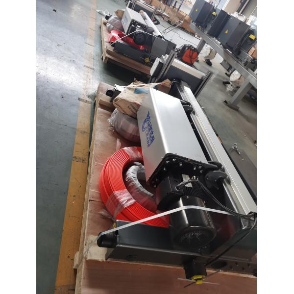 Lifting Hauling Loading Electric Crane Hoist 0-5M/Min Electric Wire Rope Hoist