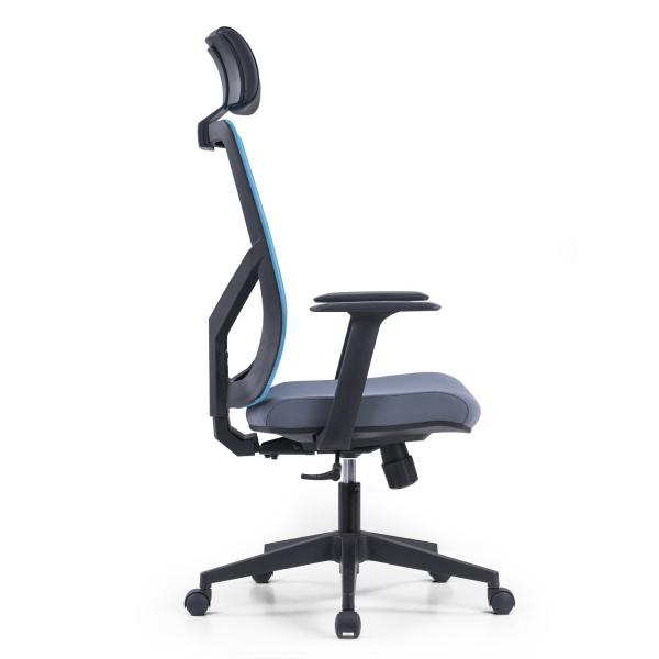 Executive Ergonomic Office Chair with Traditional Design Style and BIFMA Certificate