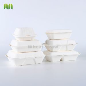 Disposable Biodegradable Sugarcane Bagasse Packing Rectangular Trays Plate Dish