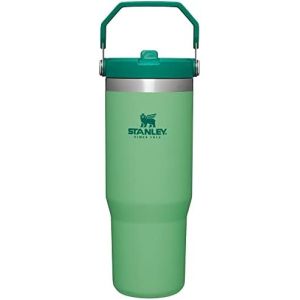 IceFlow Stainless Steel Tumbler with Straw, Vacuum Insulated Water Bottle for