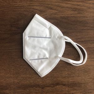 Durable KN95 Particulate Filter Mask , Disposable Earloop Mask Lightweight