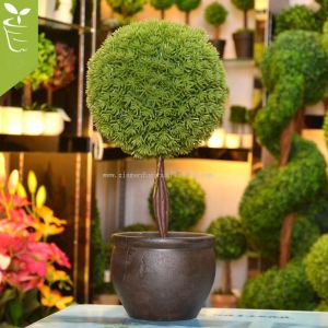 Buy cheap Mini Potted Plants Ball from wholesalers