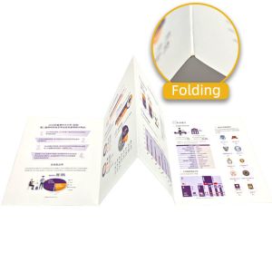 Source Factory Brochure Print on Demand Leaflet Flyer Handbill