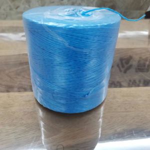 Heavy Duty Blue Rafia Tomato Tying Garden Poly Twine 6,300 ft 3LB for Tying up