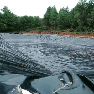 1mm HDPE Geomembrane Roll for Fish Farming 1m-8m Width Cross Categories