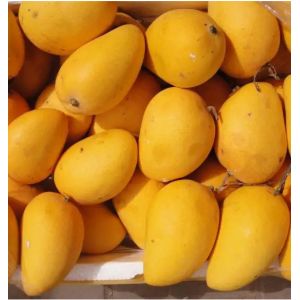 Fruit And Vegetable Mango Processing Line 50 Tons / Hour