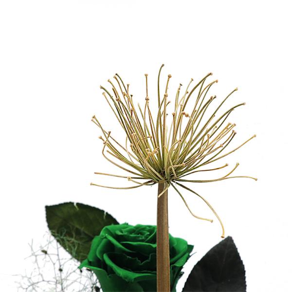 Eternal Roses In Glass Home Cute Decoration Preserved Flower Gift Boxs For Valentine’S Day