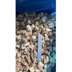 2025 New Crop high quality frozen Boletus Edulis Mushrooms