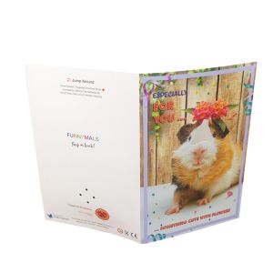 300gsm Paper Musical Paper Greeting Cards Handmade Built In Slider Switch