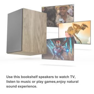 100W Audio Bluetooth Bookshelf Speakers Wireless For Home Theater