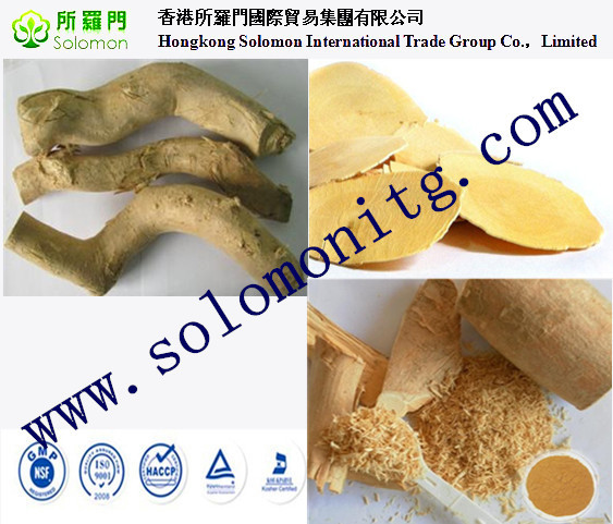 tongkat ali eurycoma longifolia extract Ali's Umbrella, Tongkat Ali, Payung Ali,