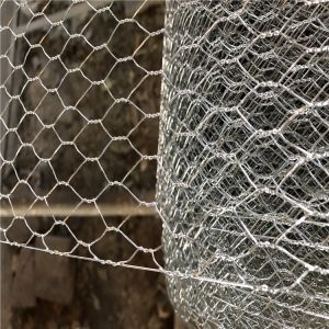 3/4-Inch Hot-Dipped Galvanized Chicken Wire Mesh