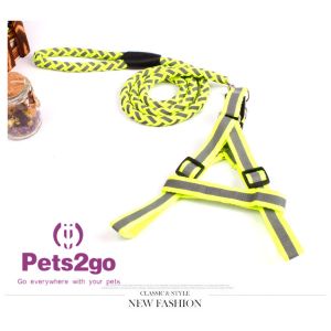 Pet Training Dog Shock Collar Puppies Tools Basic Concepts Learning Curve