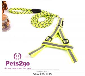 China Pet Training  Dog Shock Collar Puppies Tools Basic Concepts Learning Curve on sale