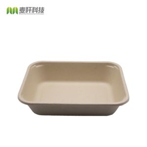 disposable lunch tray compostable sugarcane bassage serving trays