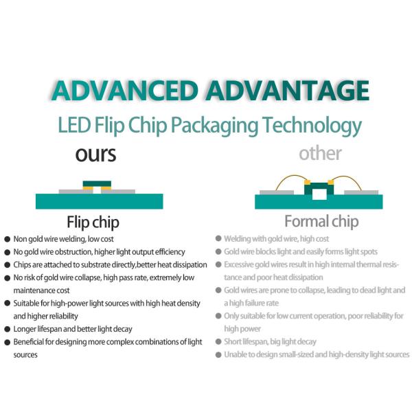 Aluminum PCB COB LED Light Strip - Decorative, Landscape, Park Lighting, Waterproof & Dimmable