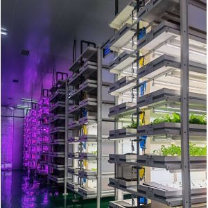 US 9.99/Piece JX-H0032 Vertical Hydroponic Shipping Container Greenhouse for