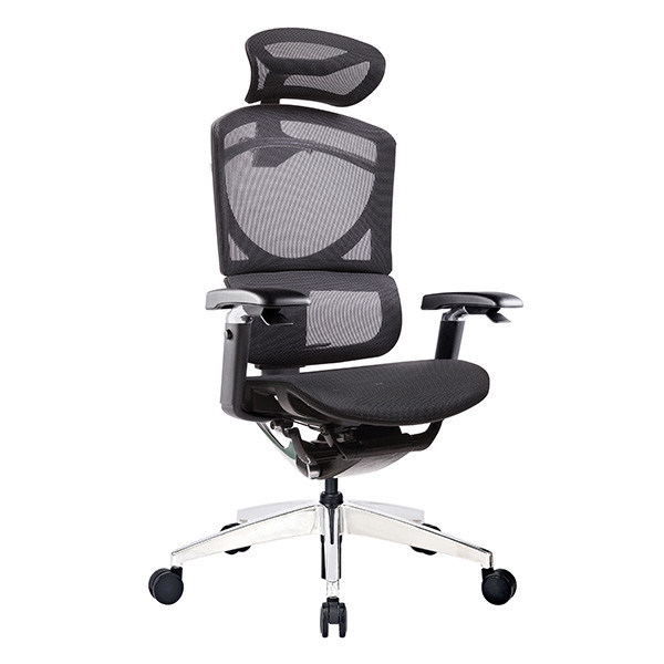Buy Double Back Support Mesh Ergonomic Executive Chair Automatic Back Supporting Lumbar at wholesale prices