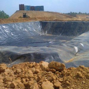 Fish Pond HDPE Geomembrane Liner Length 50-200m for Landfill and Pond Lining