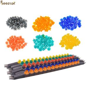 Plastic Queen Rearing Frame Kit with Cell Bar Cups Cell Cells Holder