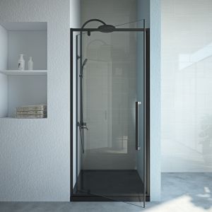 6mm tempered glass 800x1000x1900mm shower door