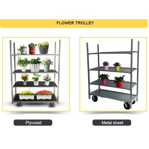 Hot Dip Galvanized Dutch Flower Trolley Seedling Car
