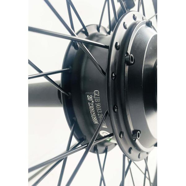 20" Single Speed Electric BMX Bike with Hidden Battery and 24V 250W Motor 20KM/H PAS