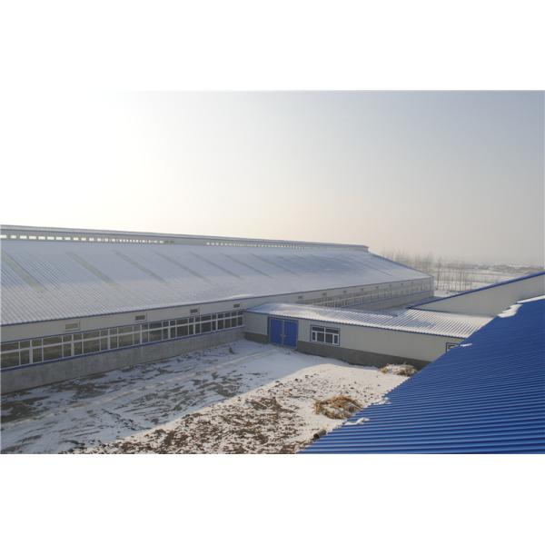 Buy Q355B Steel Structure Cowshed Building with Sandwich Panel at wholesale prices