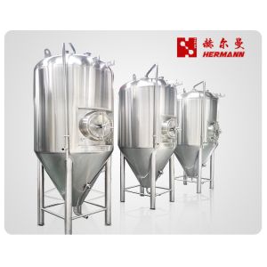 1000L Small Brewery Equipment