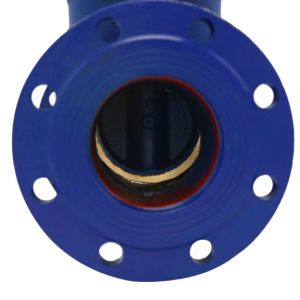 DN100 Cast Iron Dark Rod Gate Valve with Manual Operation and Double Flange
