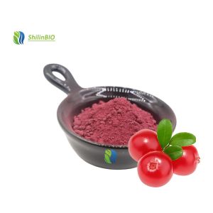 Wholesale Bulk 25% Anthocyanins Cranberry Extract Powder Cranberry Extract