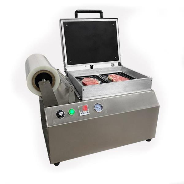 Buy 304SS Food Sealers Vacuum Packing Machine Fresh Maintaining Vacuum Packer at wholesale prices