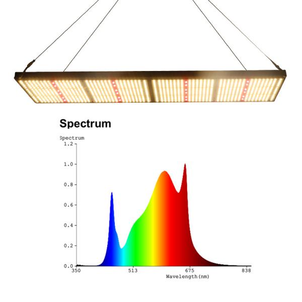 Buy Best Led Grow Light 2024 Greenworks Horticultural Full Spectrum Grow Light For Indoor Planting at wholesale prices