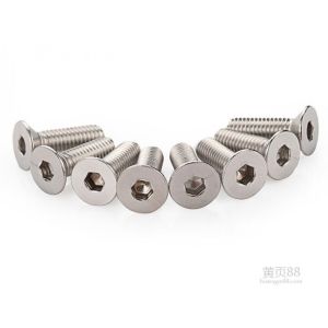 stainless steel bolt/screws