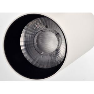 COB Ceiling Spotlight Fixture