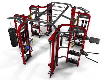 Buy Professional Synergy Gym Equipment , Multi Functional Synergy 360 Fitness Machine at wholesale prices